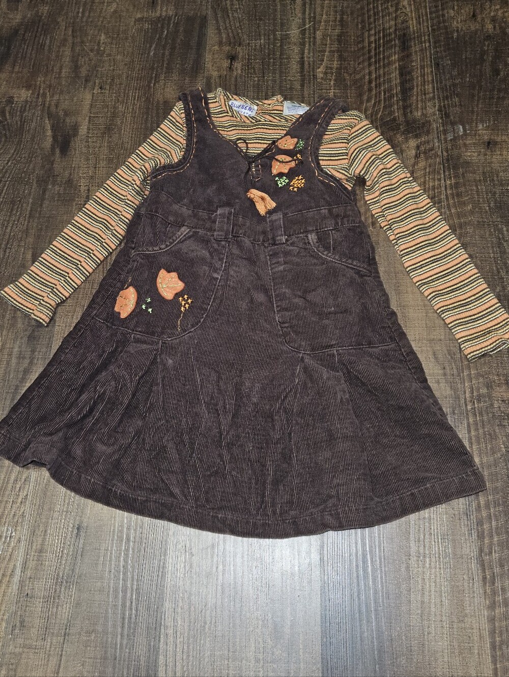 Vintage Blueberi Boulevard Corduroy Dress Set